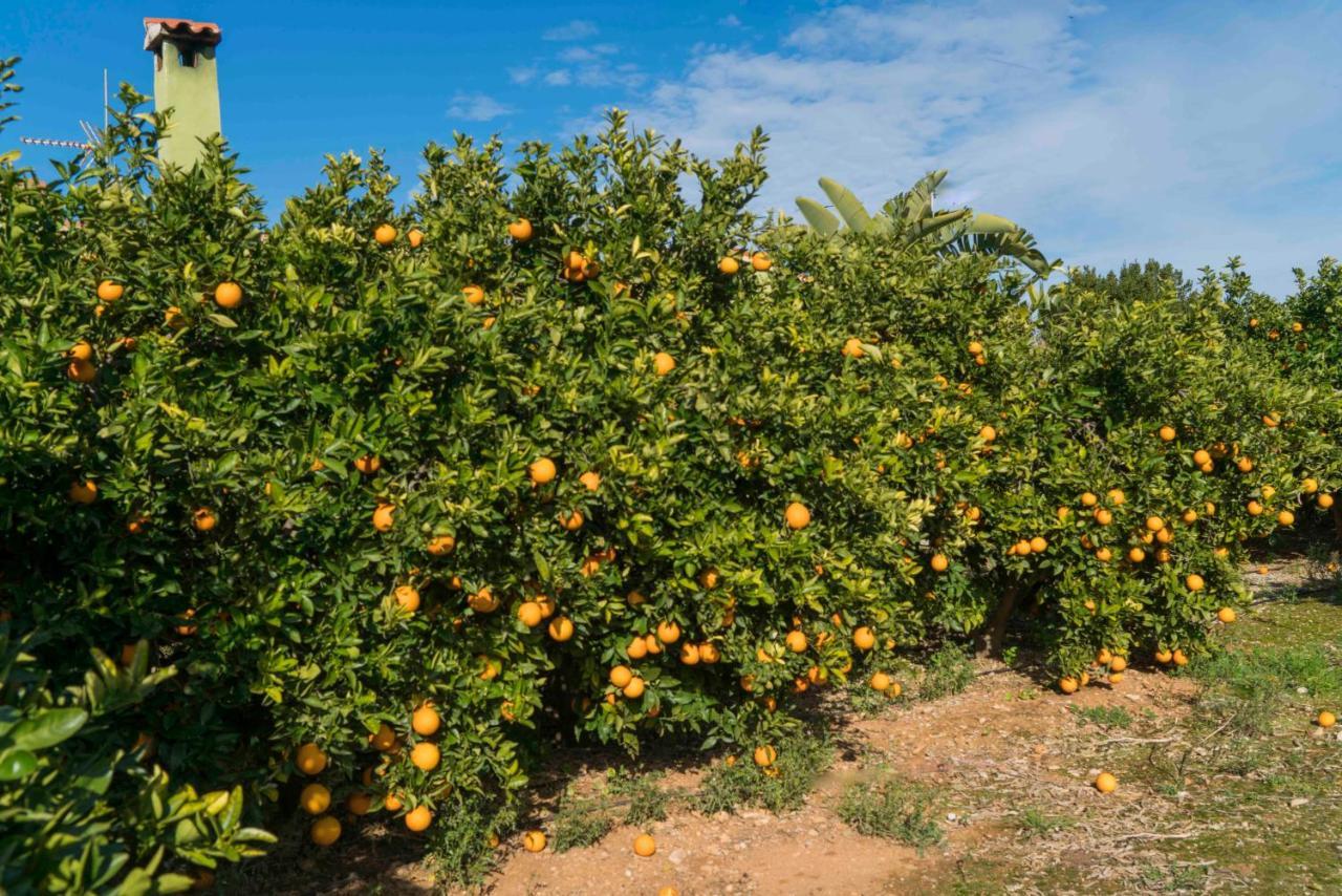 פדרגר Casa La Naranja Boutique B&B מראה חיצוני תמונה